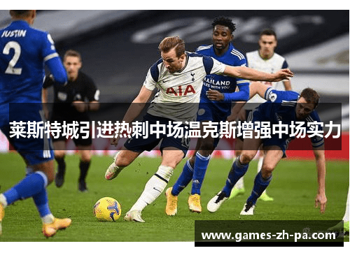 莱斯特城引进热刺中场温克斯增强中场实力